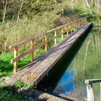 referenzenholzsteg_dsc2105